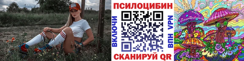 Купить закладки  Ахтырский  Псилоцибиновые грибы Psilocybine cubensis 